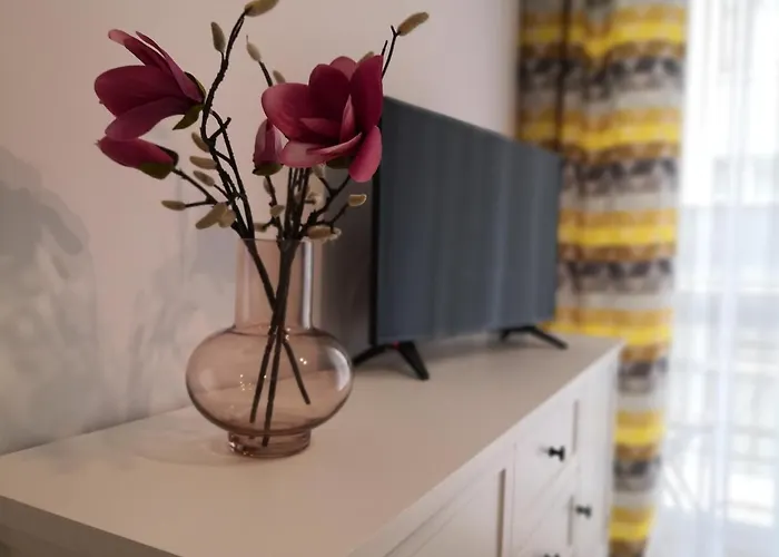 Apartament Joy